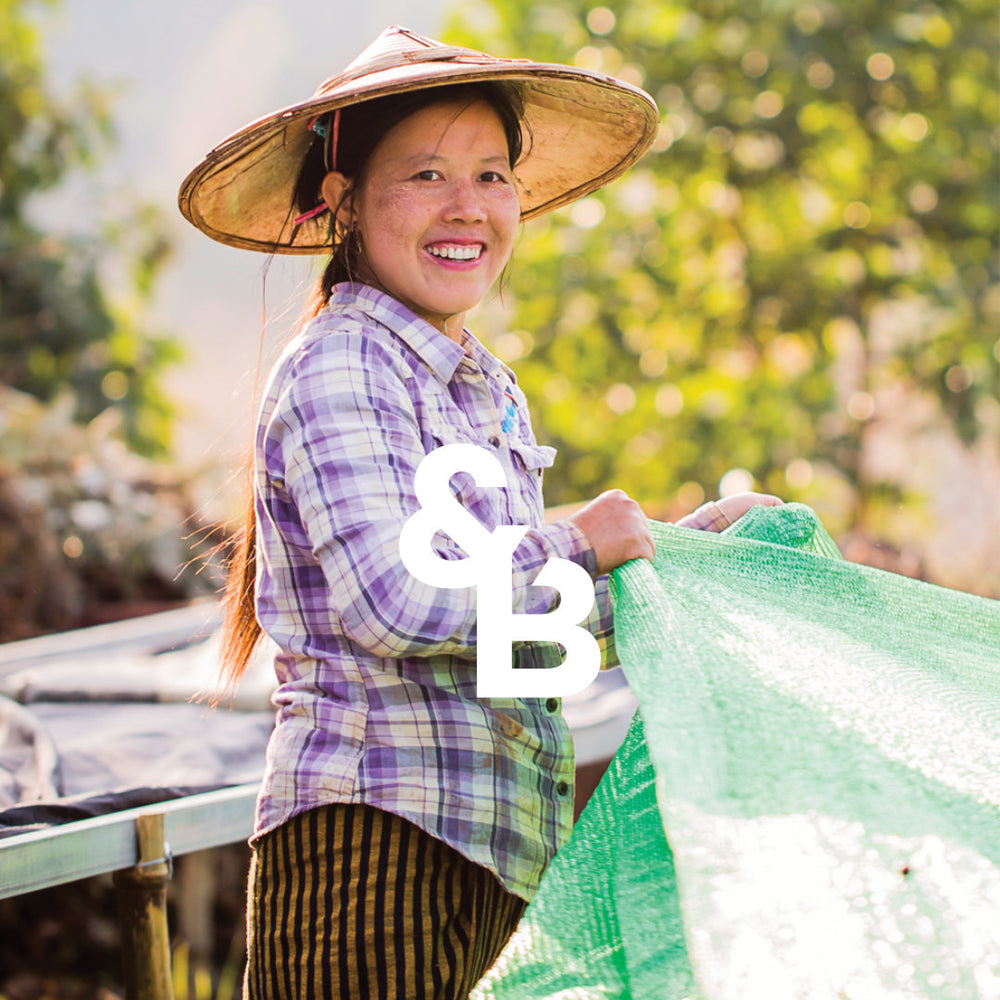 
                  
                    Load image into Gallery viewer, Myanmar Pa&amp;#39;O - Anaerobic Natural
                  
                