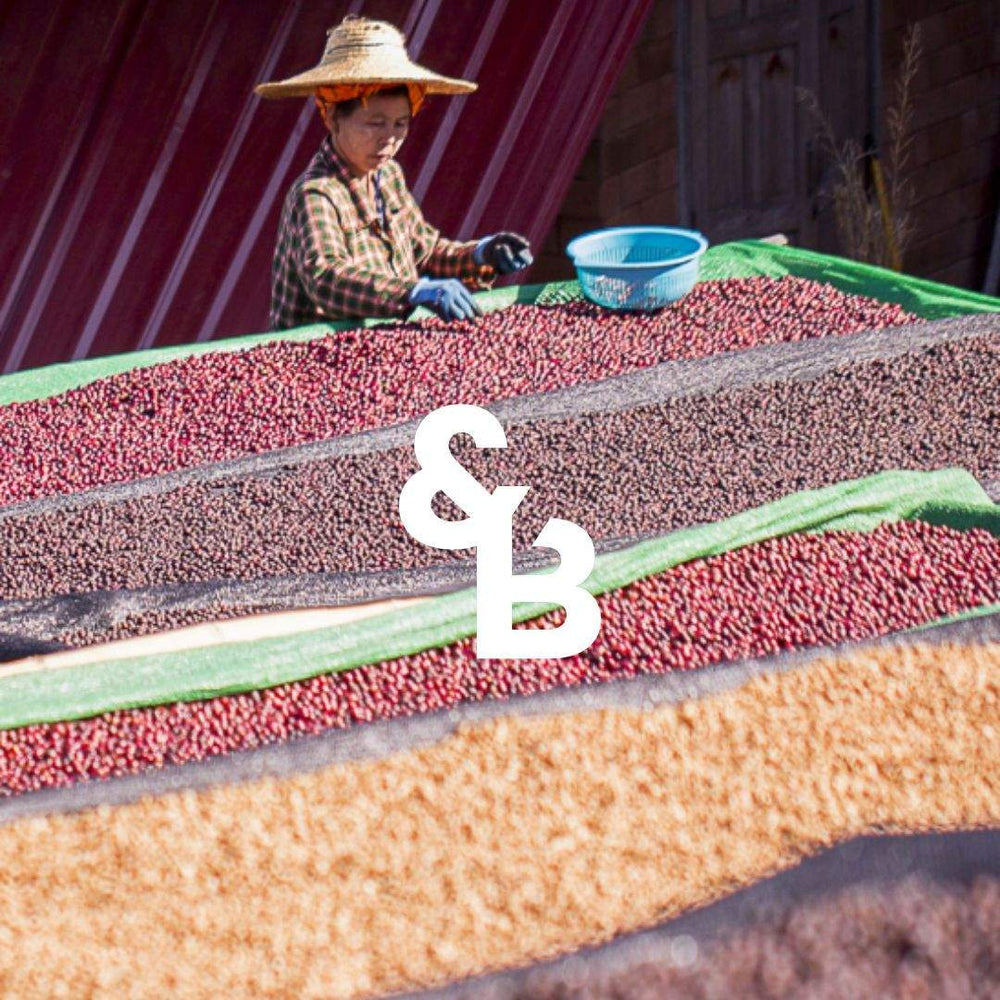 
                  
                    Load image into Gallery viewer, Bloss Speciality Blend 3 Month Subscription-andBloss-coffee,Espresso,Subscription
                  
                